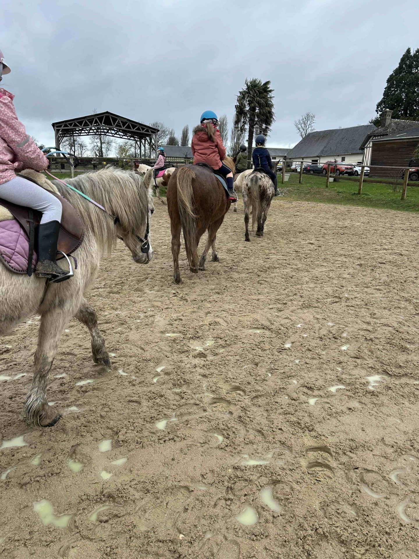 Stages poneys normandie